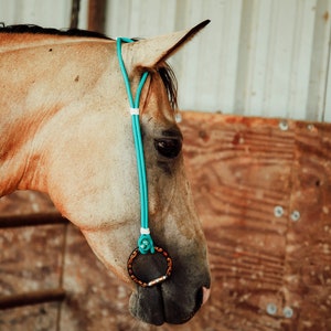 Rope Headstall image 8