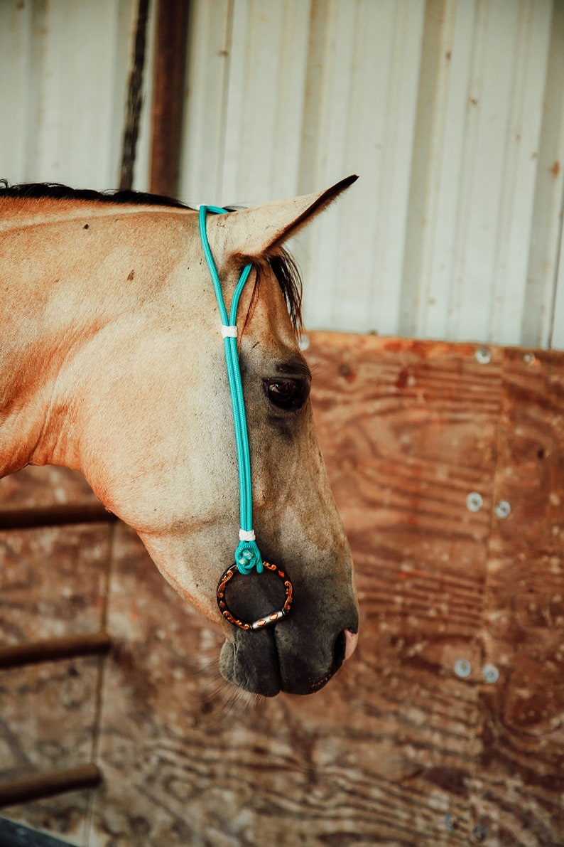 Rope Headstall image 8