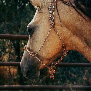 Rope Halter Clip 