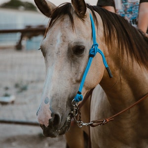 Rope Headstall image 6