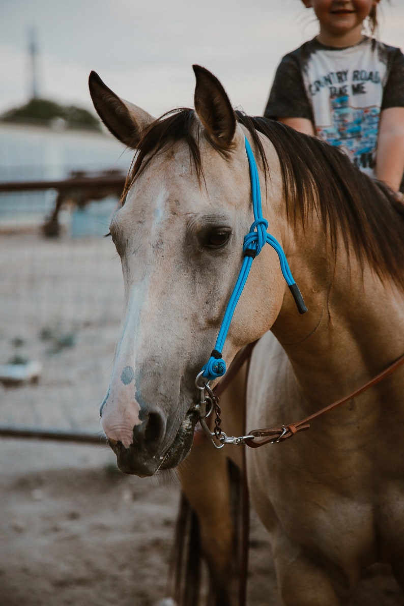 Rope Headstall image 6