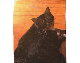 Velveteen Plush Blanket