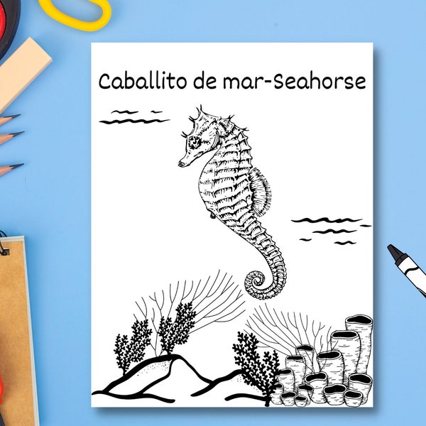 Caballito de mar – Seahorse