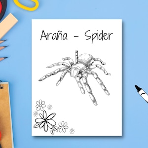 Araña – Spider