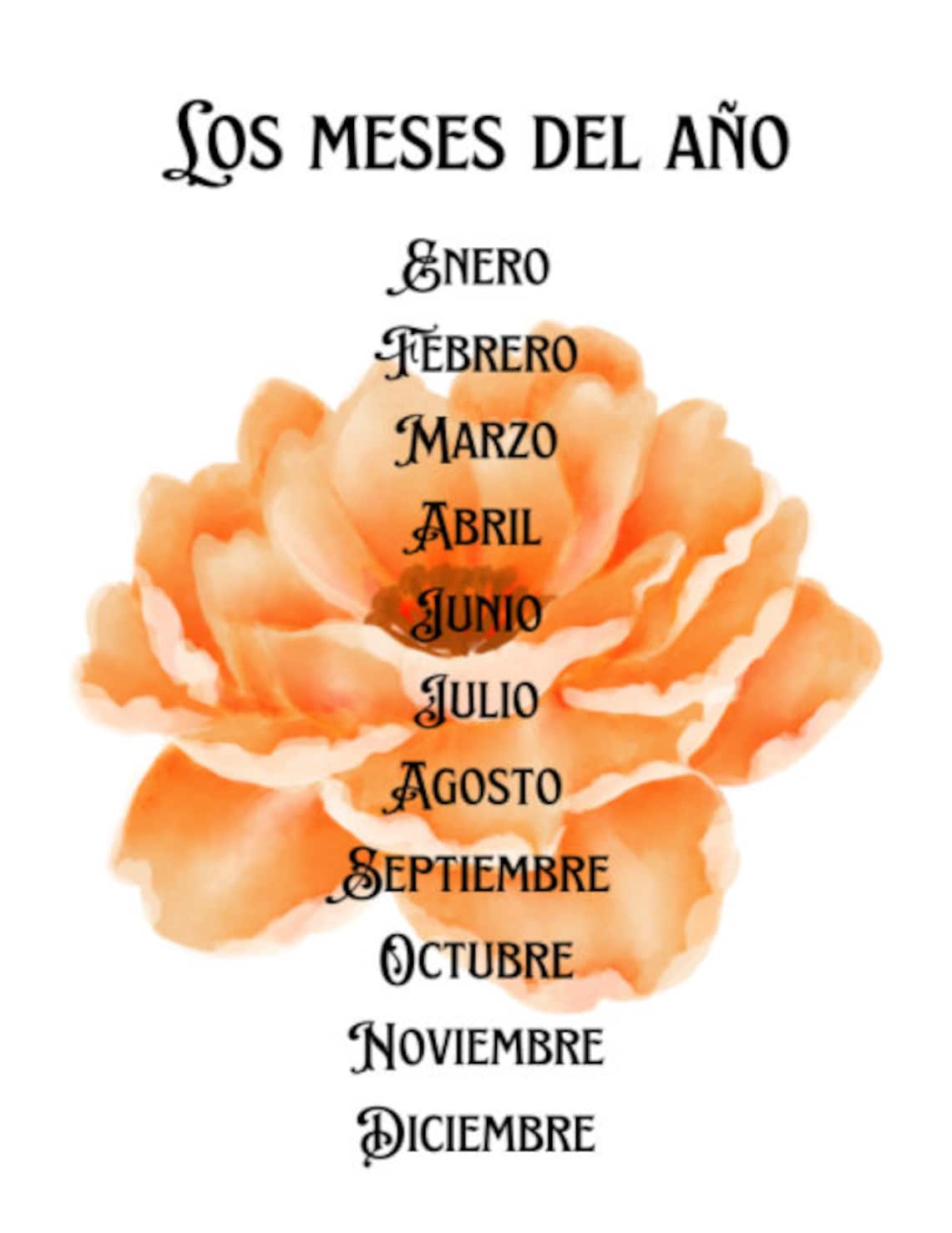 Los Meses Del Año Printable Months of the Year in Spanish Calendar