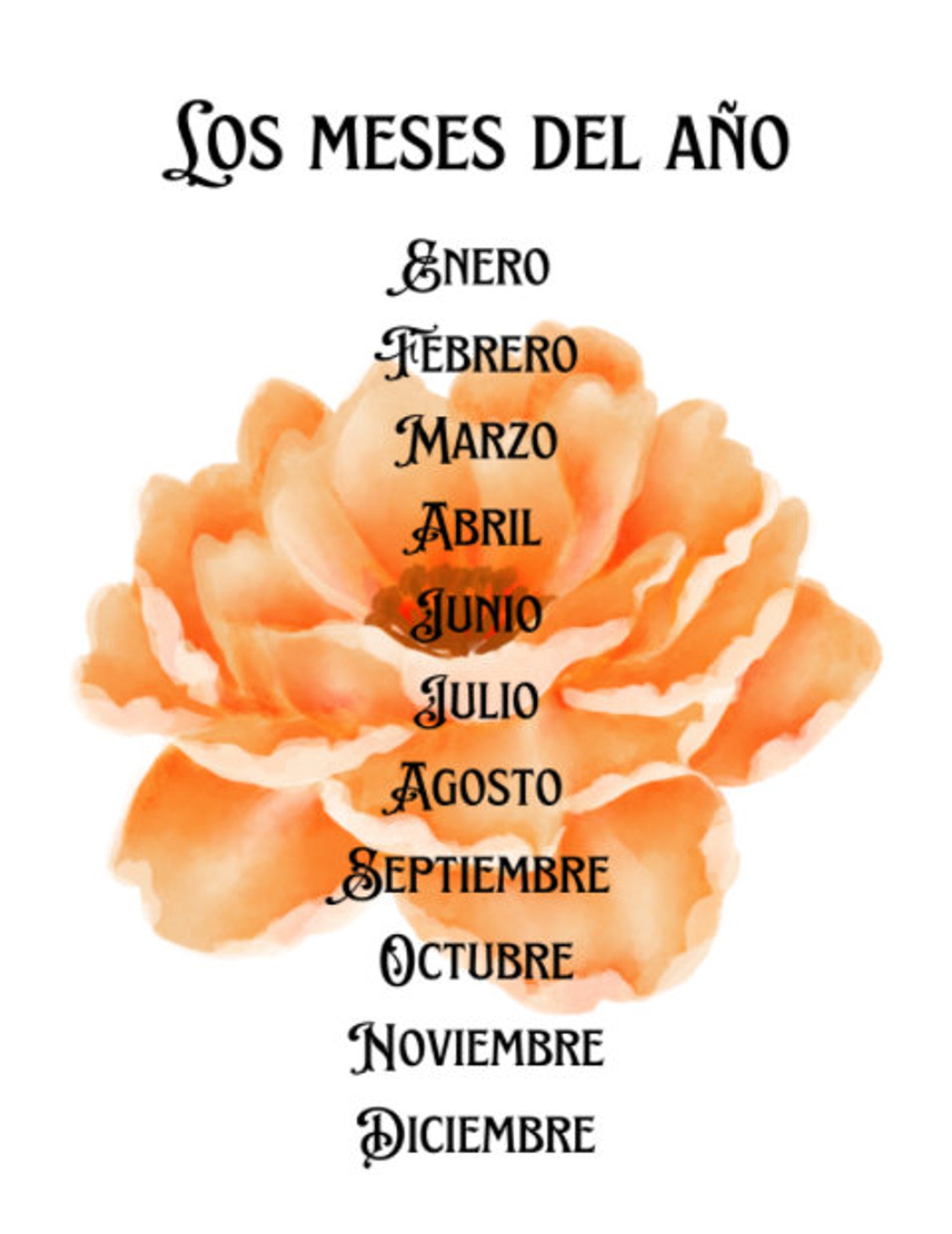 Los Meses Del A o Printable Months Of The Year In Spanish Calendar 