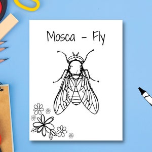 May include: Black and white line drawing of a fly with the words "Mosca - Fly" above it. The fly is surrounded by small flowers.