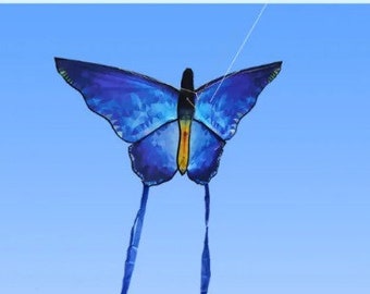 2 Butterfly Kites and string