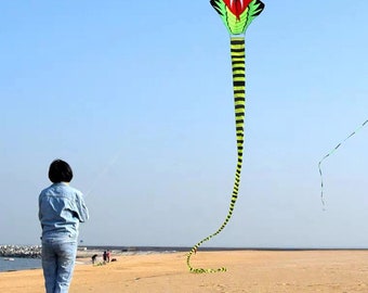 Snake Kite Outdoor Long Tail Line Toys Spring Adult Toy Lawn Park