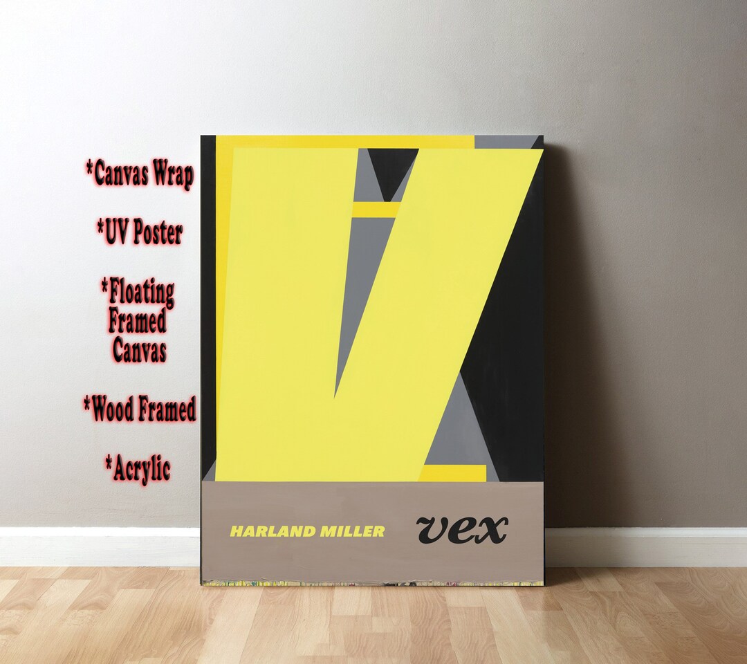 VEX Canvas Wrap UV Printed Poster Floating Framed Canvas Framed Art