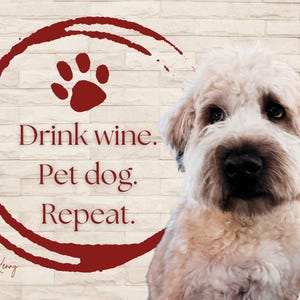 Biglietto d'auguri Wheaten Terrier – "Bevi vino. Accarezza il cane. Ripeti."