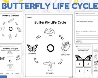 Cuaderno de actividades sobre el ciclo de vida de la mariposa, aprendizaje preescolar (20 páginas imprimibles)