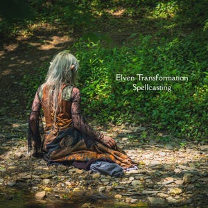 Könnte beinhalten: Eine Person mit langen, silbernen Haaren und spitzen Ohren, bekleidet mit einem braunen und gemusterten Kleid, sitzt auf einem felsigen Waldboden. Das Bild trägt die Bildunterschrift "Elven Transformation Spellcasting."