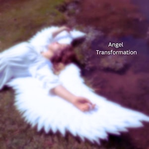 Puede incluir: Una persona con un atuendo blanco con grandes alas blancas de plumas, tumbada en el suelo. La imagen tiene el texto "Angel Transformation" en la esquina superior derecha. El fondo está borroso con tonos de verde y morado.