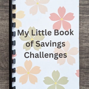 Savings Challenge  Book