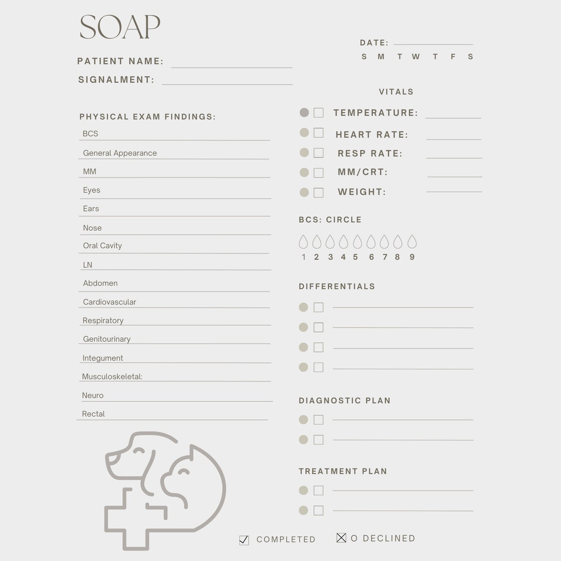 Veterinary SOAP Template Easy Download. Vetmed Record Template