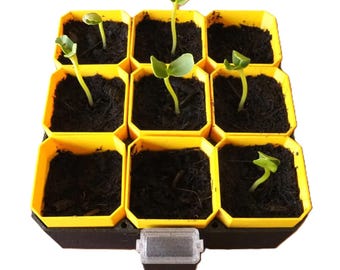 3x3 Self-Watering Seedling Starter with Reservoir and Lid