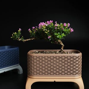 Peut inclure: Un bonsaï avec des fleurs roses dans un pot rectangulaire marron avec un motif géométrique. Le pot repose sur un support beige clair. Un autre pot bleu est visible en arrière-plan.
