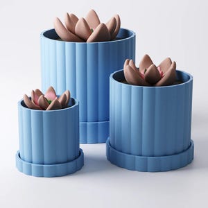 May include: Three blue ceramic plant pots of different sizes, each with a ribbed exterior and a matching saucer. The pots contain artificial succulents with pink and brown petals. The arrangement is set against a white background.
