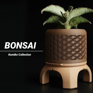 May include: A bonsai plant in a brown pot with a geometric design, on a beige stand. The pot is cylindrical and contains a green plant. The text "BONSAI" and "Kumiko Collection" are displayed on the left side of the image.