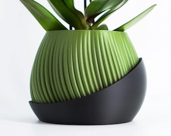 Op de afbeelding: Een groene, geribbelde, bolvormige plantenpot met een matte afwerking, gedeeltelijk omhuld door een gladde, zwarte, gebogen buitenschaal. Een groene plant met brede, dikke bladeren komt uit de pot, ondersteund door een dunne zwarte stok.