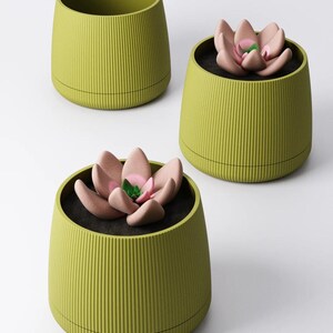 May include: Three chartreuse green, ribbed planters. Two planters contain a pink and green succulent. The planters have a round base and a cylindrical shape. The planters are a modern design.