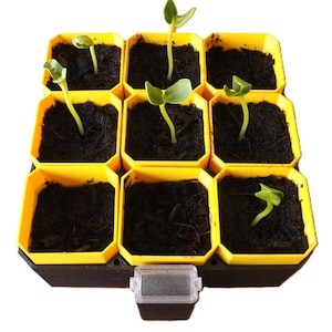 Self-Watering Seedling Starter Kit   Modular Indoor Gardening System