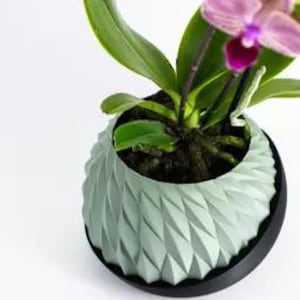 May include: A light green, geometric-patterned planter with a black base, holding an orchid with green leaves and purple flowers. The planter has a unique, textured design. The background is white.