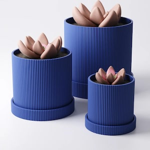 May include: Three blue cylindrical planters with a vertical ribbed texture, each containing a faux succulent. The succulents have soft pink petals. The planters are of different heights and sit on matching saucers. The planters are in cm.