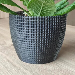 May include: A dark grey, textured plant pot with a repeating pattern of small, raised circles. The pot contains a green plant with large, textured leaves. The pot is on a light brown wooden surface.