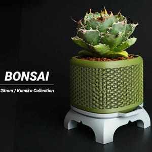 May include: A green succulent plant in a patterned green pot, resting on a white stand. The pot is 12.5cm in diameter. The word "BONSAI" is displayed in white text.