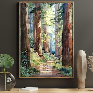 Op de afbeelding: Aquarel schilderij van een boslandschap met hoge sequoia's en een pad dat in de verte leidt. Het kunstwerk is ingelijst in een houten lijst. Het schilderij heeft een natuurlijk kleurenpalet van groen, bruin en zonlicht.