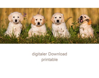 Golden Retriever Puppies, Digital Download, Print, Printable Wall Art, Nursery