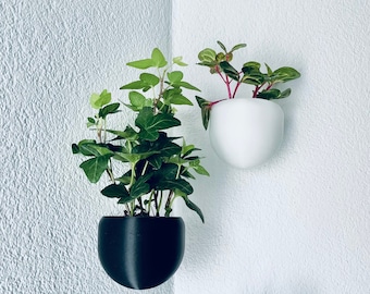 Flower pot wall hanging plant pot