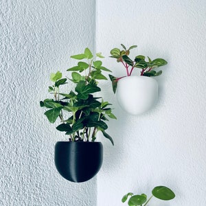 Flower pot wall hanging plant pot