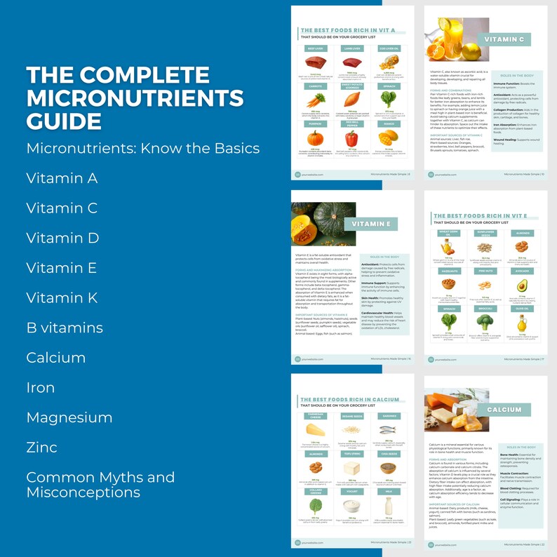 Nutrition Bundle: Editable Canva Template for Health Coaches, Macros ...