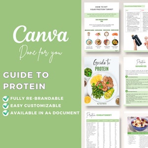 Editable Canva Template Guide to Protein | Health Resource | Nutrition | Health and Fitness Coach | Protein Sources | High Protein Recipes