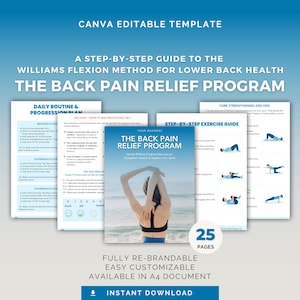 Back Pain Relief Program | Editable Canva Template | Health & Fitness Coaching | Instant Download, DFY PLR