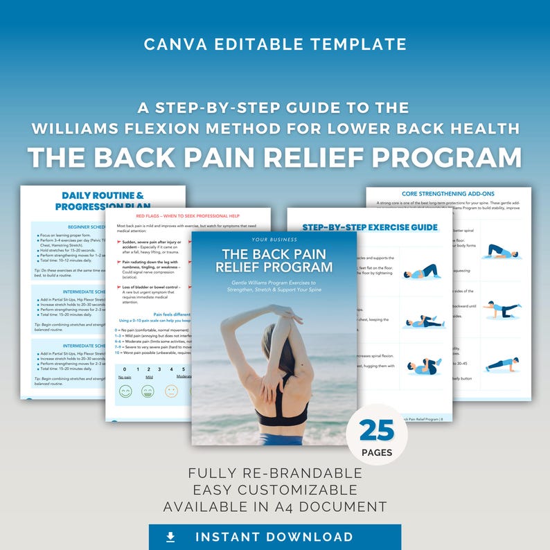 Back Pain Relief Program | Editable Canva Template | Health & Fitness Coaching | Instant Download, DFY PLR image 1