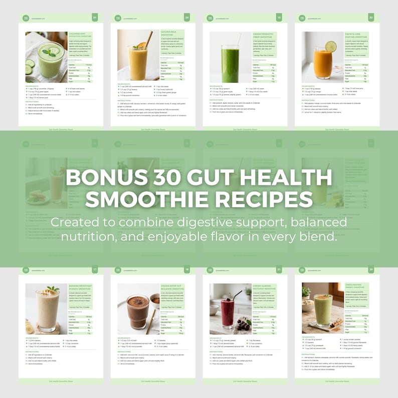 Gut Health Reset Bundle Canva Template | Digestive Guide, Meal Plan ...