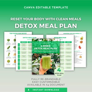 Detox-Speiseplan | Bearbeitbare Canva Vorlage | Gesundheitscoach-Tool | Digitaler Download DFY PLR