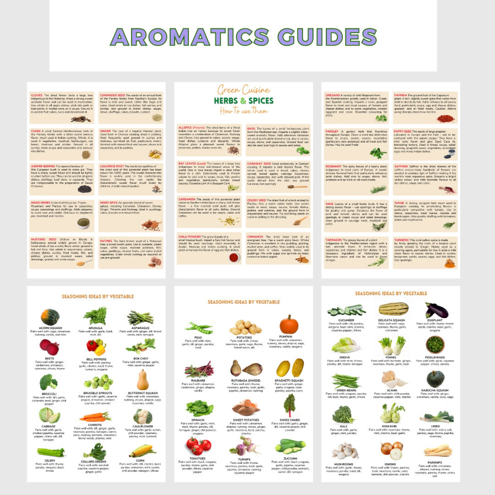 100 Editable Canva Nutrition Handouts Templates Cook Smarts Etsy