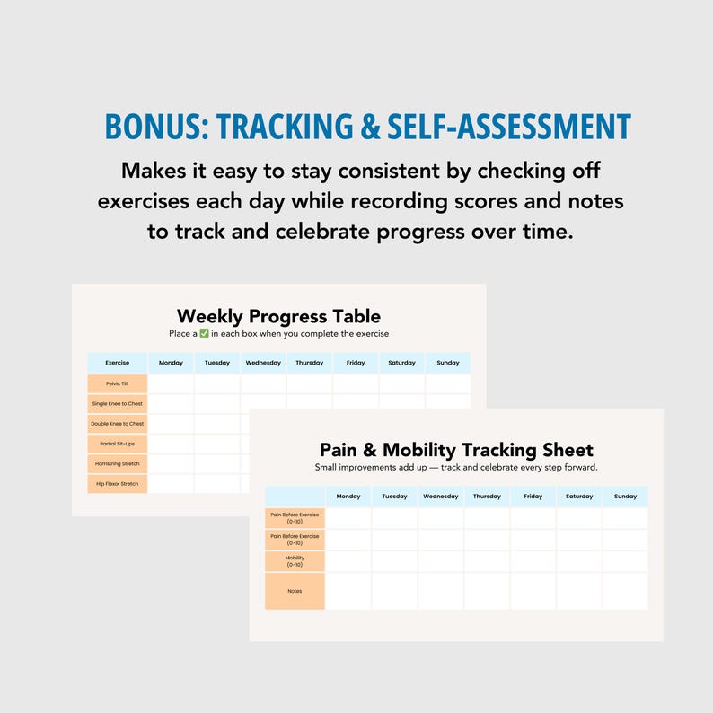 Back Pain Relief Program | Editable Canva Template | Health & Fitness Coaching | Instant Download, DFY PLR image 8