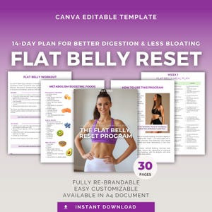 The Flat Belly Reset Program | Editable Canva Template | 14-day Meal Plan | Digital Download