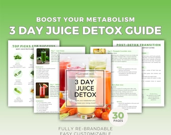 Juice Detox Anleitung Canva Vorlage | 3 Tage Cleanse Plan, Wellness Ebook, Gesundheitscoach PLR