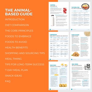 Animal-Based Diet Bundle | Editable Canva Template, 14 Day Meal Plan, Nutrition Guide PLR image 6