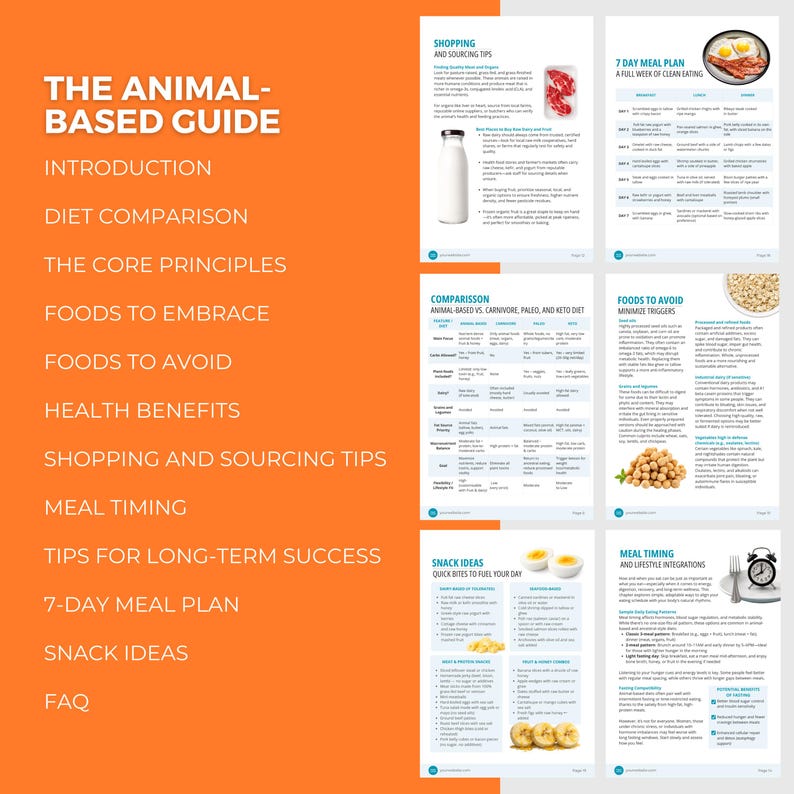 Animal-Based Diet Bundle | Editable Canva Template, 14 Day Meal Plan, Nutrition Guide PLR image 6
