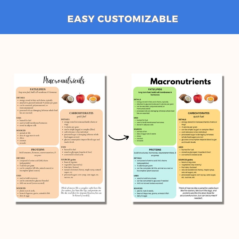 100 Editable Canva Nutrition Handouts Templates Meal Plan Etsy