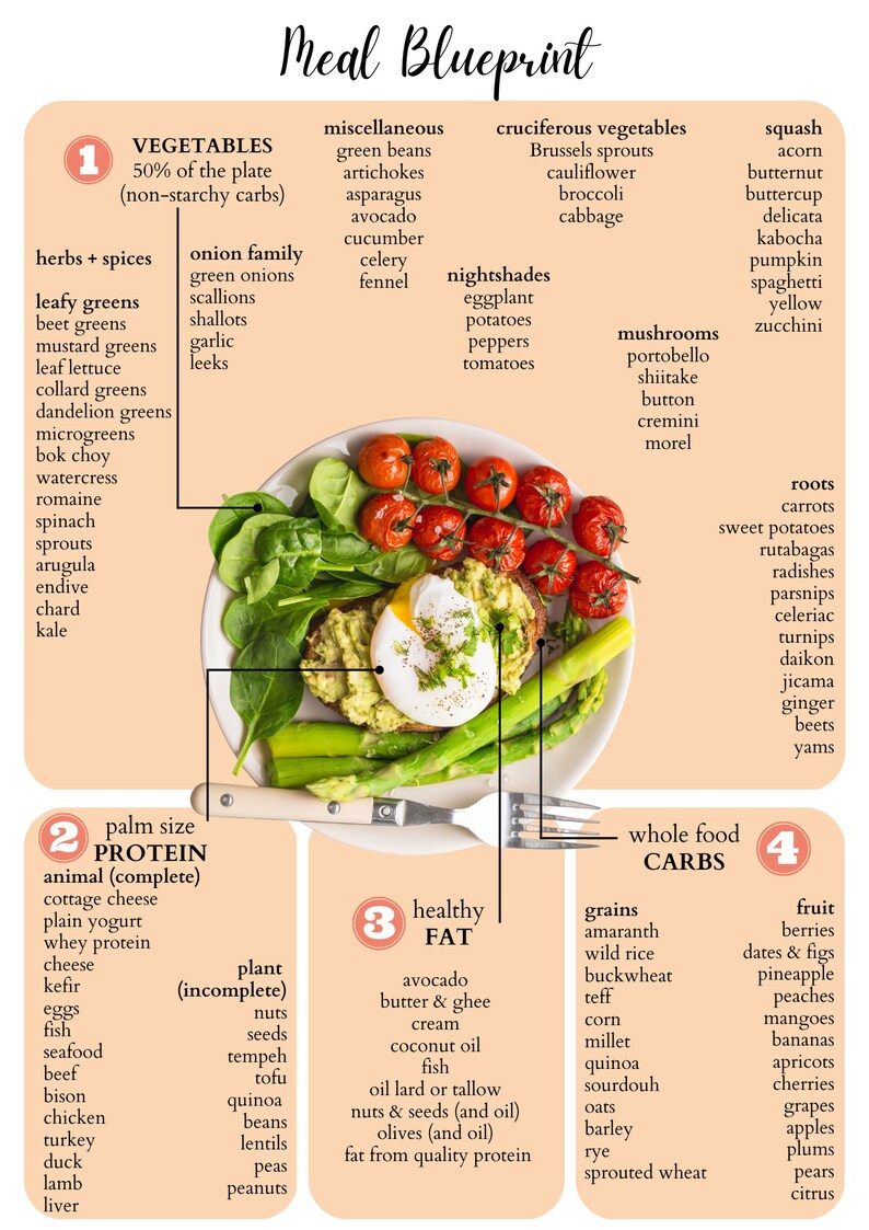 100 Editable Canva Nutrition Handouts Templates Meal Plan Etsy