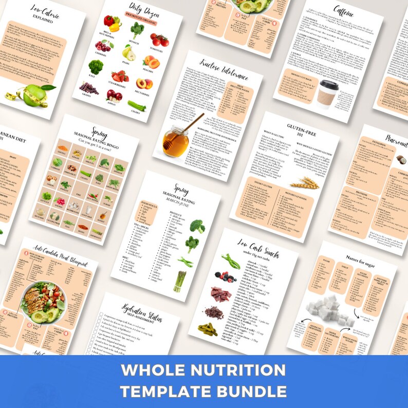 100 Editable Canva Nutrition Handouts Templates Meal Plan - Etsy